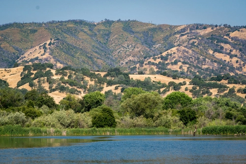 Another Appraisal Opinion Bites the Dust