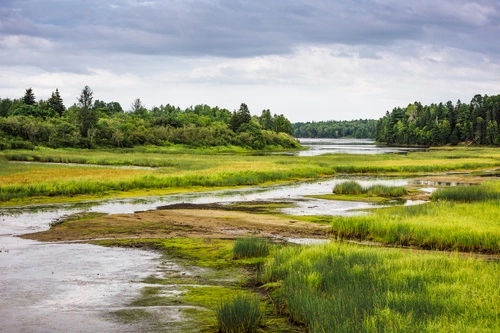 Conservation Easements in California: Preserving Land While Retaining Ownership